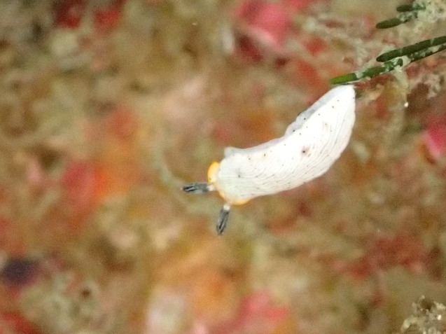 e0115199_19094339.jpg