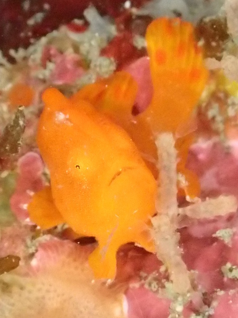 e0115199_19103628.jpg