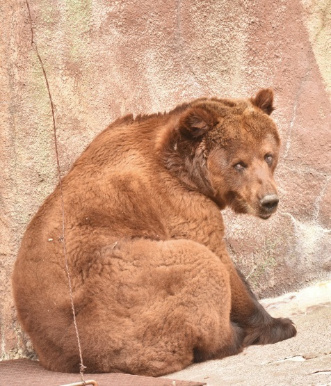 d0090801_06294610.jpg