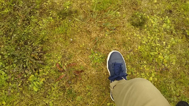 e0361702_13284421.jpg