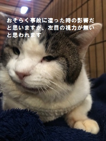 ご飯を食べられるって幸せ♪_f0242002_13550737.jpg