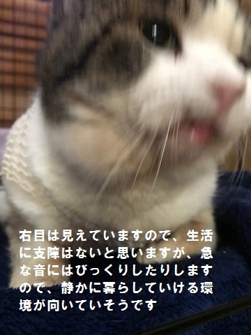 ご飯を食べられるって幸せ♪_f0242002_13551051.jpg