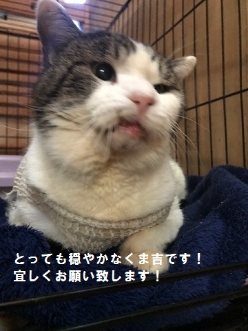 ご飯を食べられるって幸せ♪_f0242002_13573370.jpg