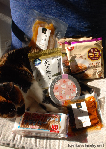 京都からの「ぴーちゃん」便_b0253205_04032991.jpg