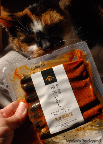 京都からの「ぴーちゃん」便_b0253205_04034428.jpg