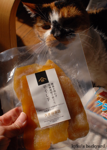 京都からの「ぴーちゃん」便_b0253205_04035512.jpg