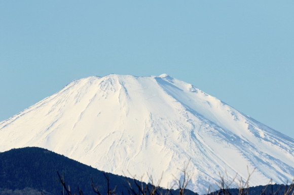 寒風に飛ぶ！大川のカワアイサ！！　　ＳＧＯ_d0346713_07333782.jpg