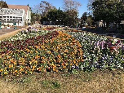 e0373815_16012835.jpg