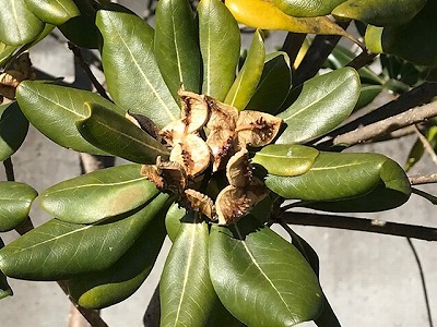 e0373815_16020103.jpg