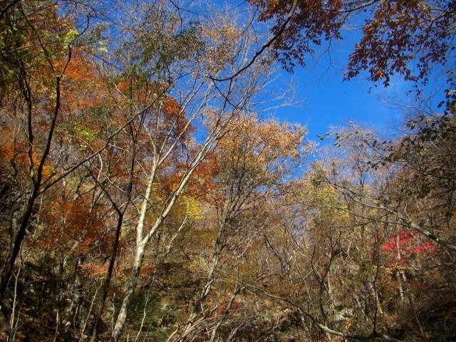c0074721_16103427.jpg