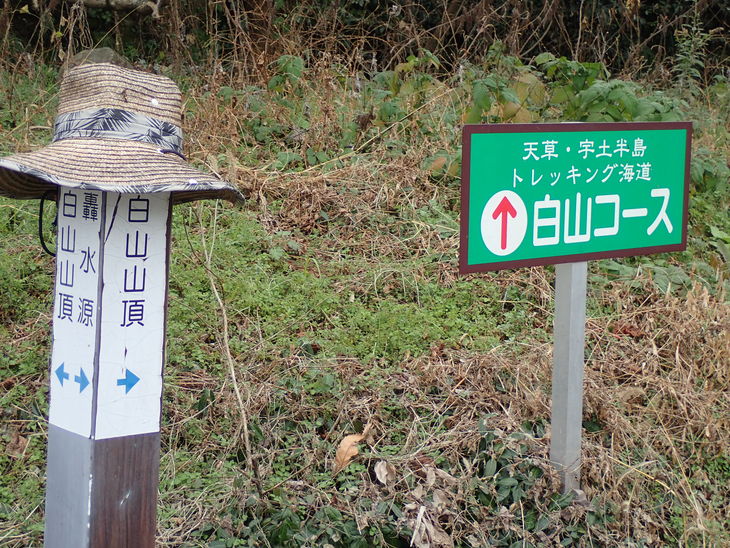 f0193521_19313112.jpg