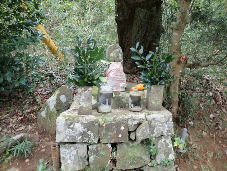 f0193521_19413666.jpg