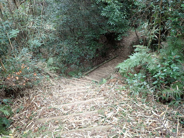 f0193521_19511829.jpg