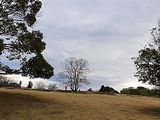 b0068423_15501488.jpg