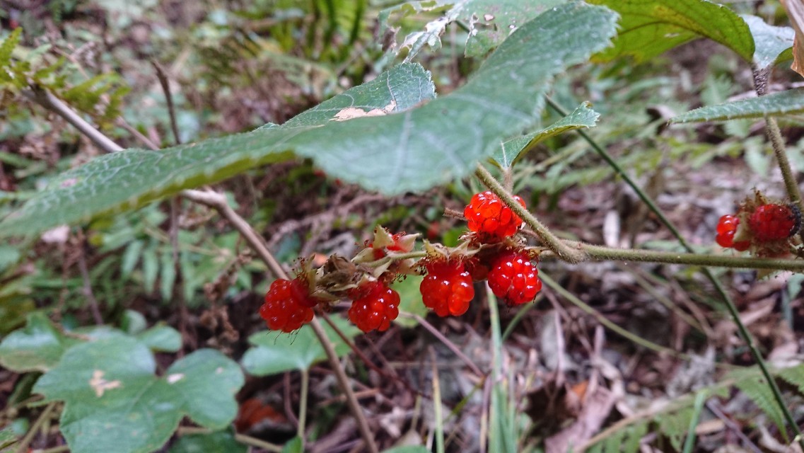 b0211925_07060656.jpg