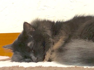 d0025725_1561226.jpg