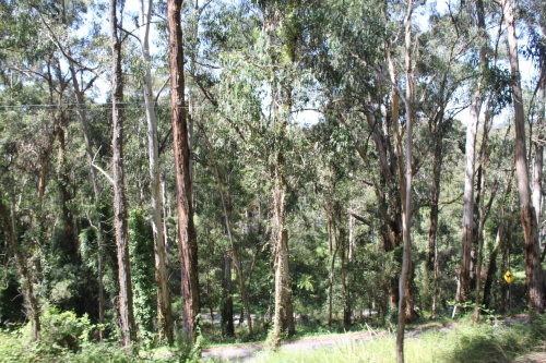 a0163227_15153126.jpg