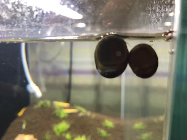 d0365027_00012449.jpeg