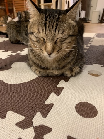 f0146427_10483369.jpeg