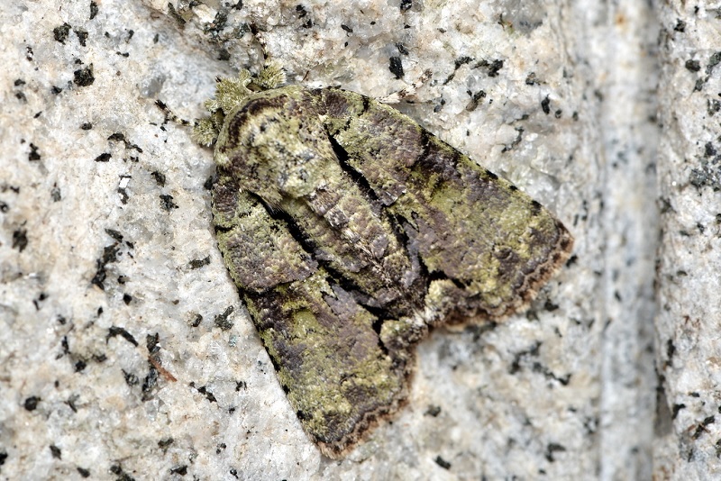 c0286530_22092911.jpg