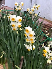 b0400731_04321859.jpg