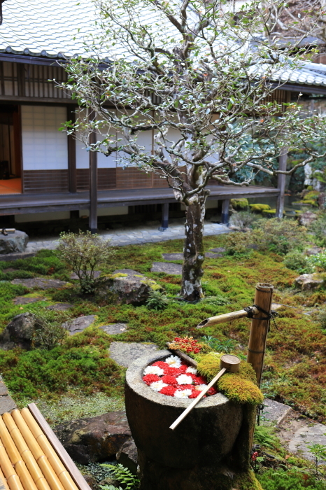 【楊谷寺】part 2 年明け関西帰省 - 8 -_f0348831_23350053.jpg