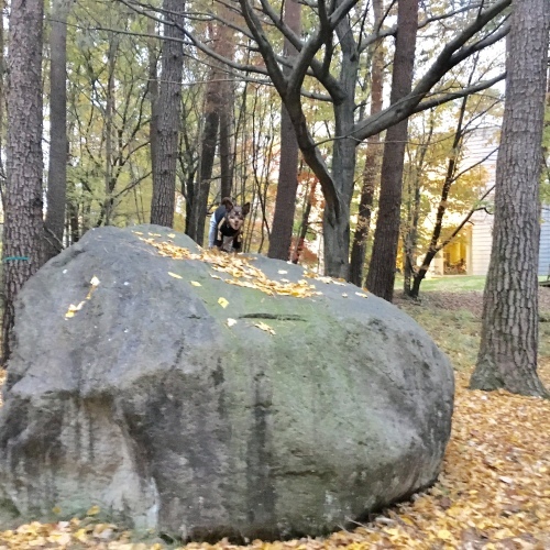 a0291132_17562009.jpeg
