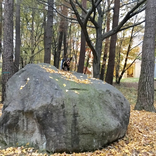 a0291132_17563006.jpeg