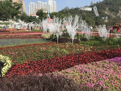 f0371533_18124541.jpg