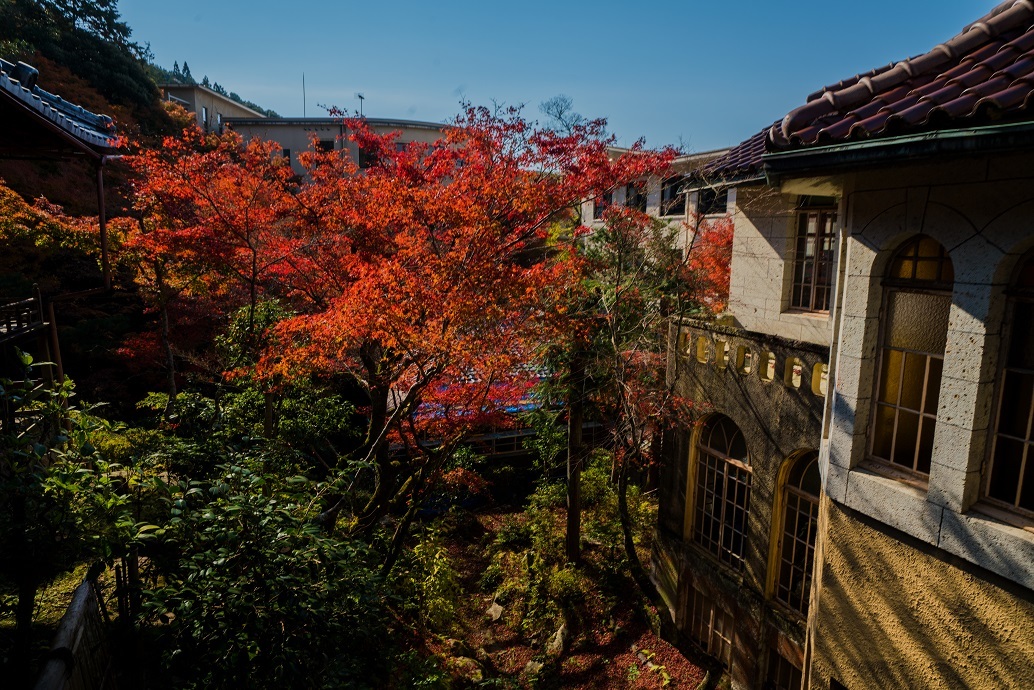 ２０１８京都紅葉～和中庵・特別公開_e0363038_15075276.jpg