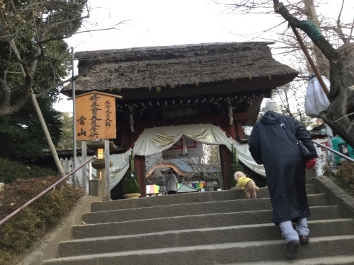 c0122744_19530669.jpeg