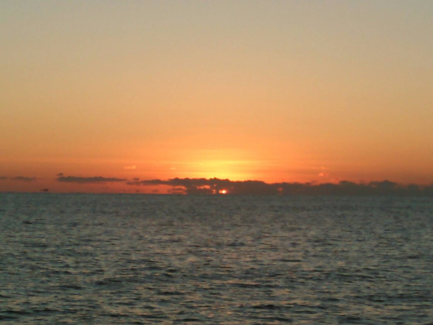 b0142251_16341467.jpg