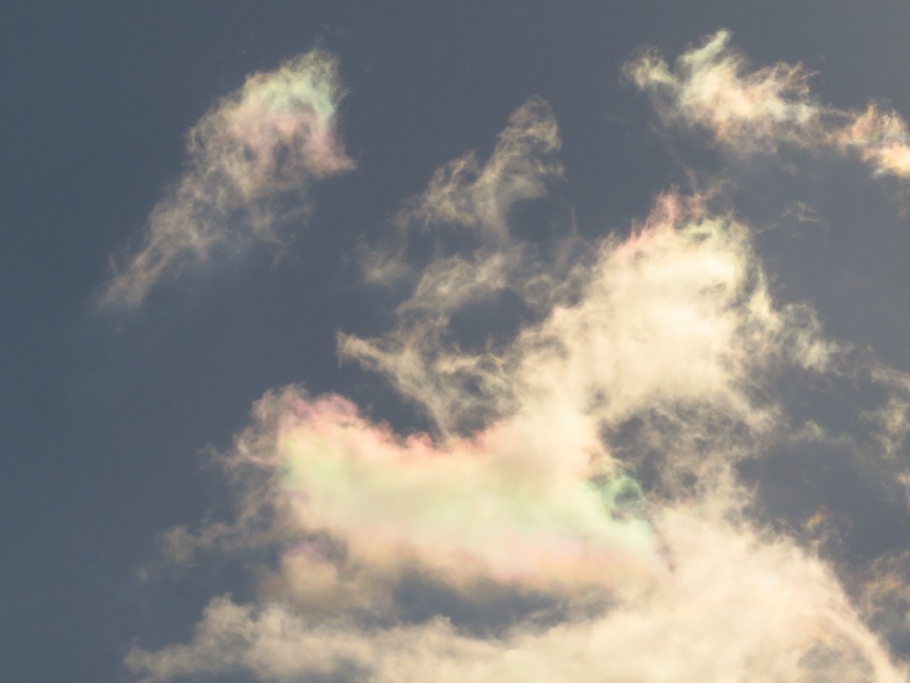 a0018655_09465824.jpg