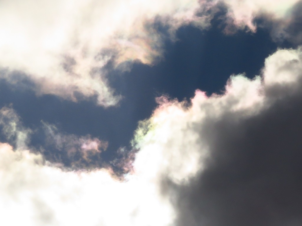 a0018655_09561296.jpg