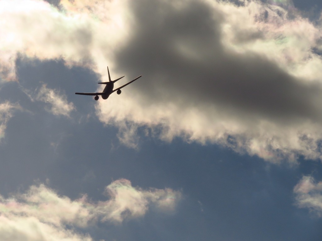 a0018655_09564948.jpg