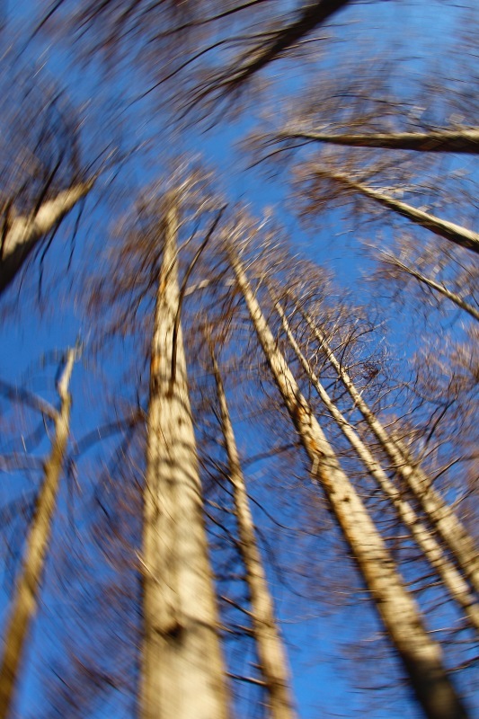 a0248459_14321098.jpg
