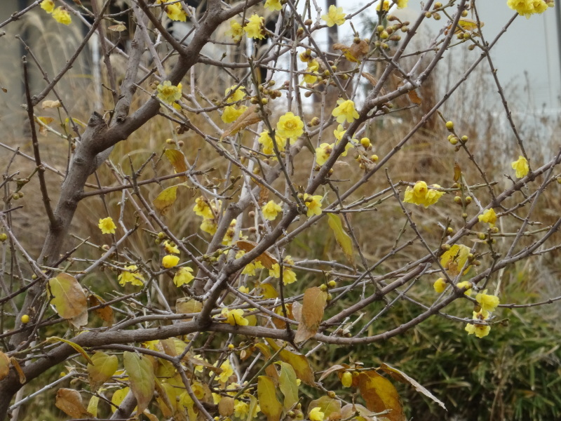c0108460_14011678.jpg