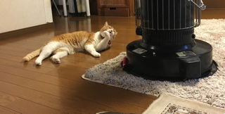 次々と家電が傷む(＞人＜;)_f0363168_15273407.png
