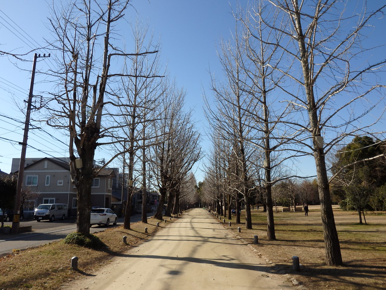 d0054276_20121770.jpg