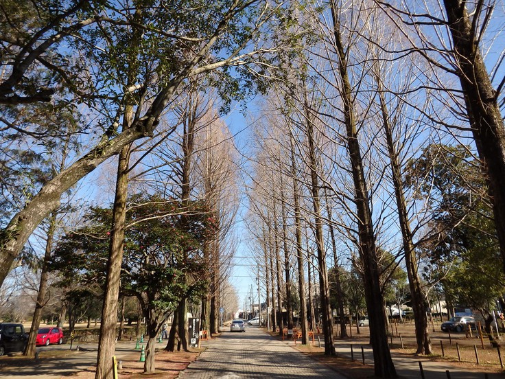 d0054276_20122741.jpg