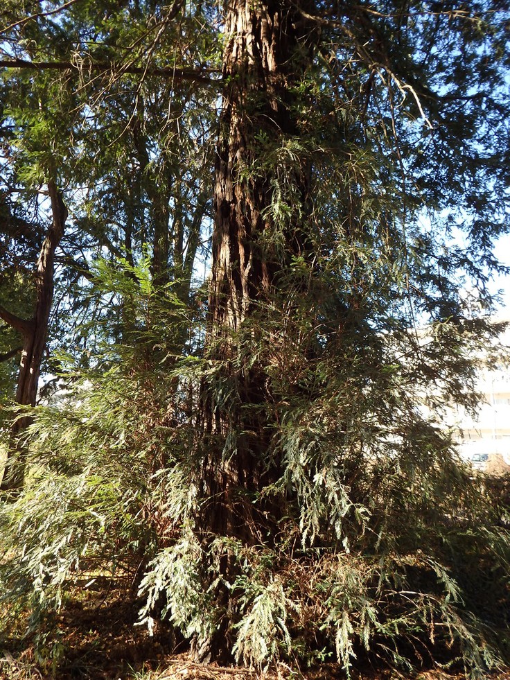 d0054276_20134691.jpg
