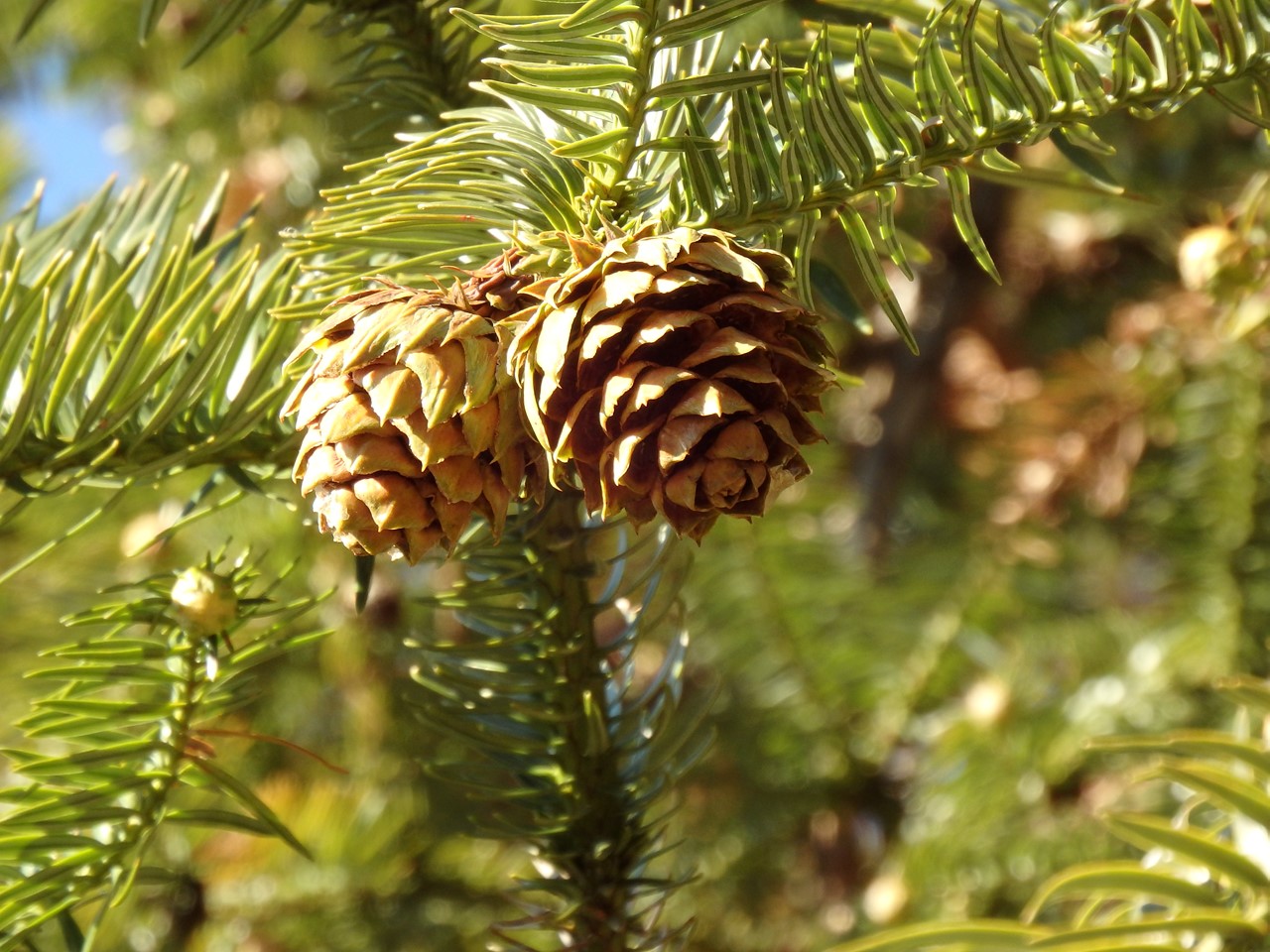 d0054276_20142011.jpg