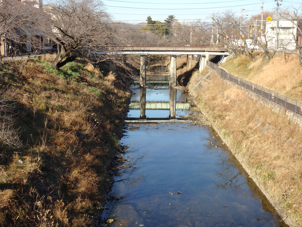 d0054276_2017172.jpg