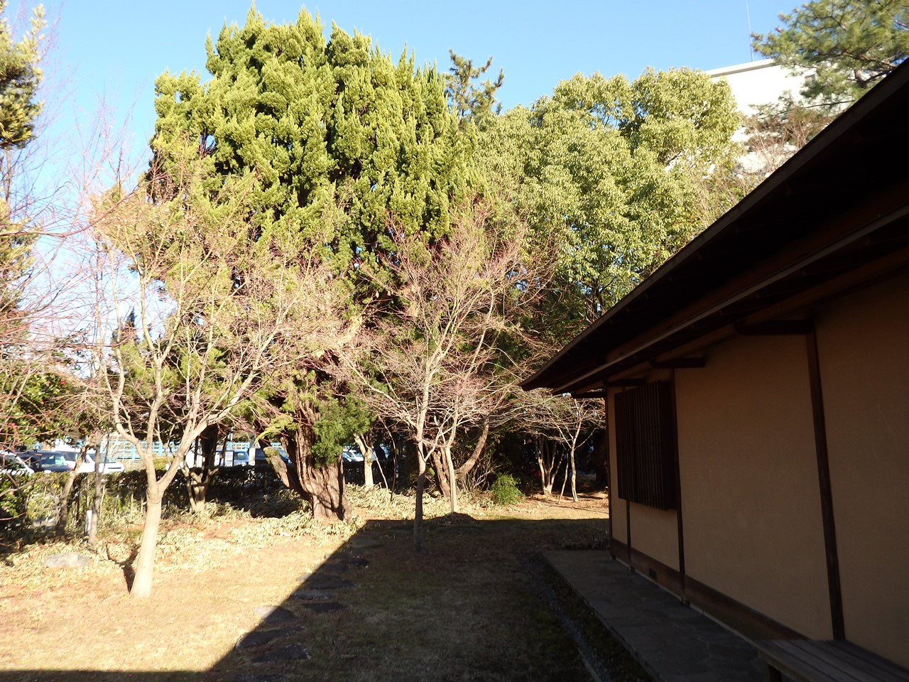 d0054276_20182410.jpg
