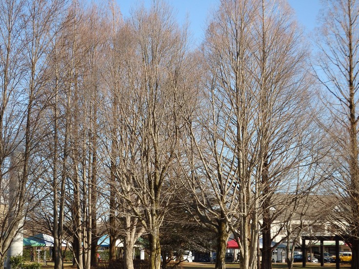 d0054276_20184431.jpg