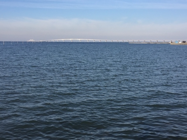 d0016577_08132814.jpg