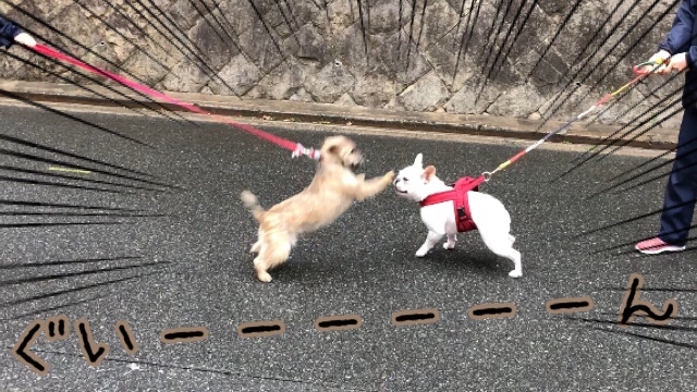 トレーニングブログ_f0357682_20272085.jpg