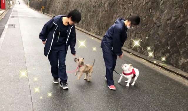 トレーニングブログ_f0357682_21041708.jpg
