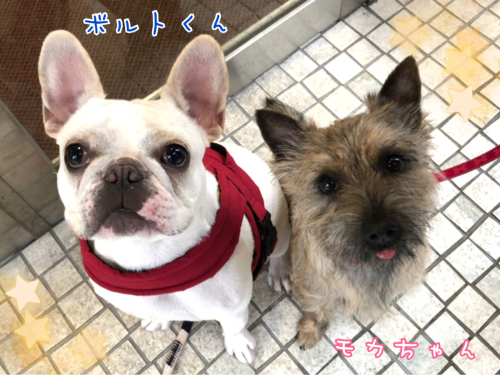 トレーニングブログ_f0357682_21161820.jpg