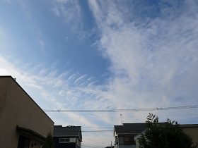 e0130185_9572646.jpg